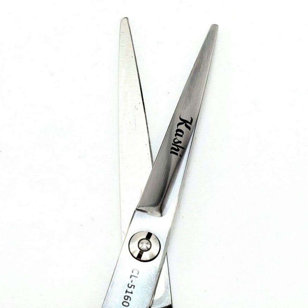 Professional Thinning Shears 6 inch with Extremely Sharp Blades, 440C Steel